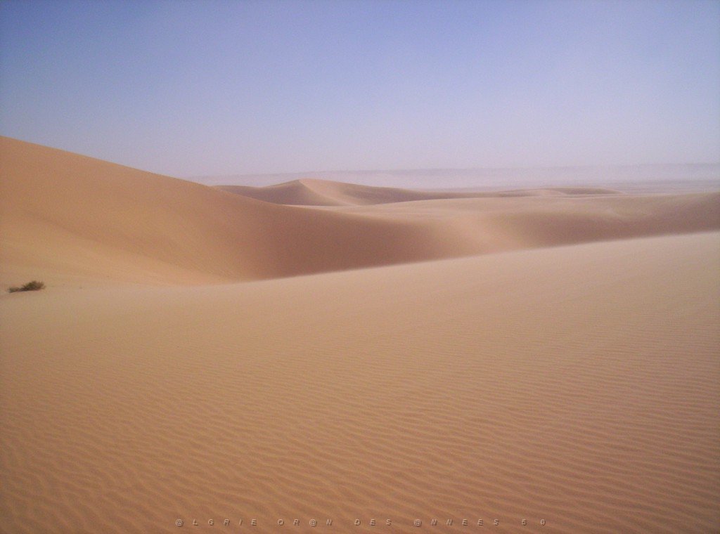 TIMIMOUN DECEMBRE 2004 N066 LA SPLENDEUR DU DESERT.JPG